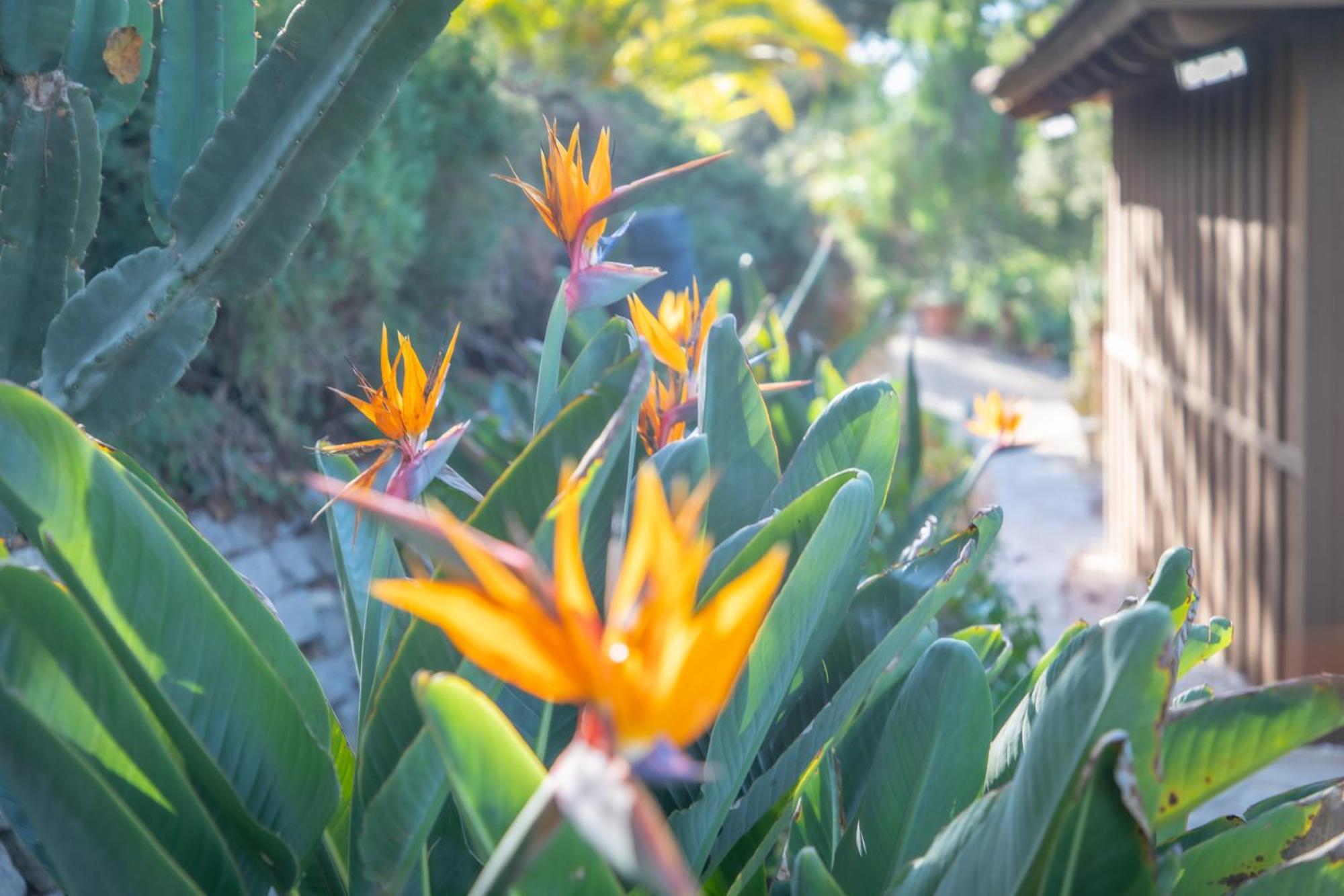 Nature Focused Villa Designed For Wellness Fallbrook Exteriér fotografie